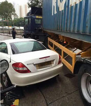 1453477788679SL4 3465DA6201B5B1DA81DDF6D48856DF78