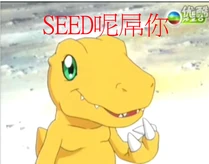 Seed dm.jpg (85 KB) Seed dm