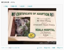 1369393247 7ca5.jpg (136 KB) 鄭伊健微博的樹熊照片