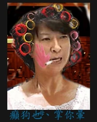 蔣麗芸被惡搞成蔣元秋