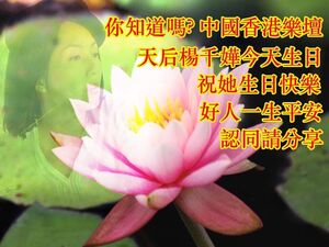 84690070 10158145838259695 1181241509639356416 n.jpg (98 KB) 84690070 10158145838259695 1181241509639356416 n