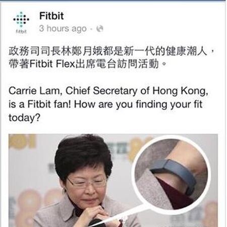 林鄭月娥 香港網絡大典 Fandom