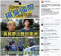 建制派在facebook對張樹人的批判