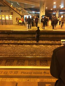 16107549 1715678335411003 2881498288937818374 o.jpg (314 KB) 16107549 1715678335411003 2881498288937818374 o