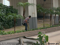 Plastic busfans sample1.jpg (150 KB) Plastic busfans sample1