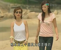 2006年TVB最高收視電視劇《女人唔易做》：「男人十居其九都是賤的」