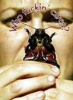 259.jpg (16 KB) 西洋昆蟲版