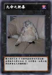 九命之肥暴.jpg