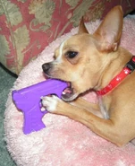 吞槍警生前照片曝光 (按讚+10分).jpg (115 KB) 吞槍警生前照片曝光 (按讚+10分)