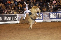 Ctallp8.jpg (121 KB)