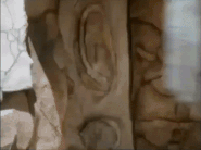 真實版石頭出糧機[3]