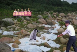 -1-1DAB.jpg (147 KB) 惡搞改圖