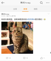 1a5a6cb67040e135740097f0a39407fb.png (450 KB) 該微博發表的小貓相片