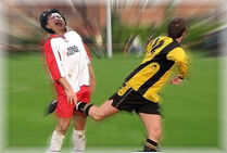 1c9ed9ae.jpg (52 KB) 1c9ed9ae