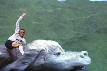 Ctallp26.jpg (24 KB)