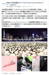 Valdayseaflowerargue