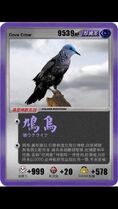 鳩烏