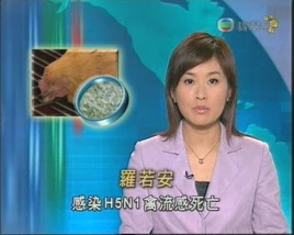 214159ir4wzwsyxfdewpd3