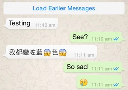 如對方已閱你發出之訊息，訊息旁之雙剔，將會變成藍色。