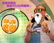 《龍珠》：龜仙人