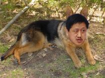 13271681921.jpg (64 KB) 孔狗東