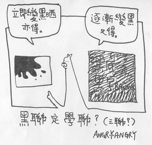 ANGRY.ANGRY製圖，借用美源髮彩廣告，諷刺保聯陰招
