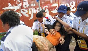 陳巧文試圖在奧運馬術比賽期間展示雪山獅子旗，被保安員合力抬離賽場。期間被保安員從後揸胸非禮