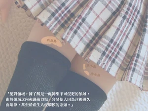 Zettai-ryouiki.jpg (251 KB) 有網民把釣魚台群島形容為「絕對領域」