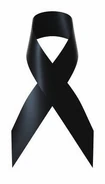 Black ribbon.jpg (6 KB) 網民將Facebook頭像改為黑絲帶,以表示默哀