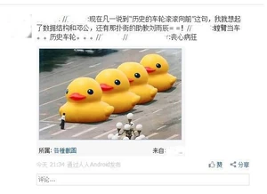 June4 duck.jpg (25 KB) June4 duck