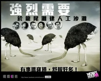 橄欖啜核：高官強烈需要於龍尾建人工沙灘