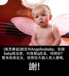 「Angelinababy」子女名字招募