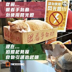 13728964 910164942446247 5607770739618466717 n.jpg (120 KB) 13728964 910164942446247 5607770739618466717 n