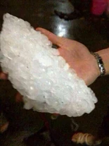 10151850 10152340496778464 1431379768 n.jpg (23 KB) 10151850 10152340496778464 1431379768 n