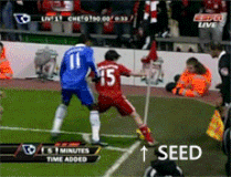 Seed pl.gif (815 KB) Seed pl