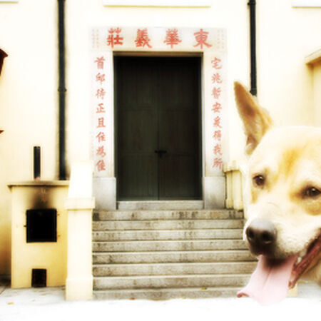 九江十二坊 香港網絡大典 Fandom
