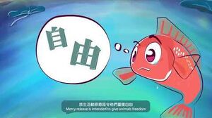 「放生前諗清楚」系列 - 魚魚篇《放生會否對生態平衡帶來衝擊？》（30秒版本）