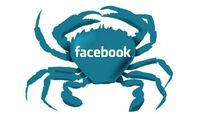 Facebook crab