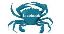 有網民把facebook形容為一隻「河蟹」