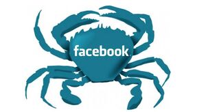 Facebook crab