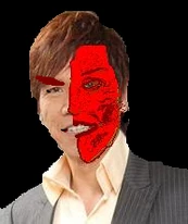 林嘉華：雙面人