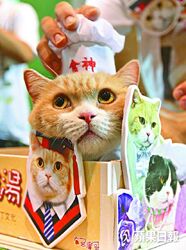 22la5p2.jpg (93 KB) 22la5p2