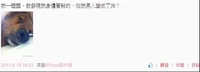 0f8ea204356a5cbb09ccd2c46aeaebb5.jpg (31 KB) 該微博帳戶發表了一幅狗仔的相片