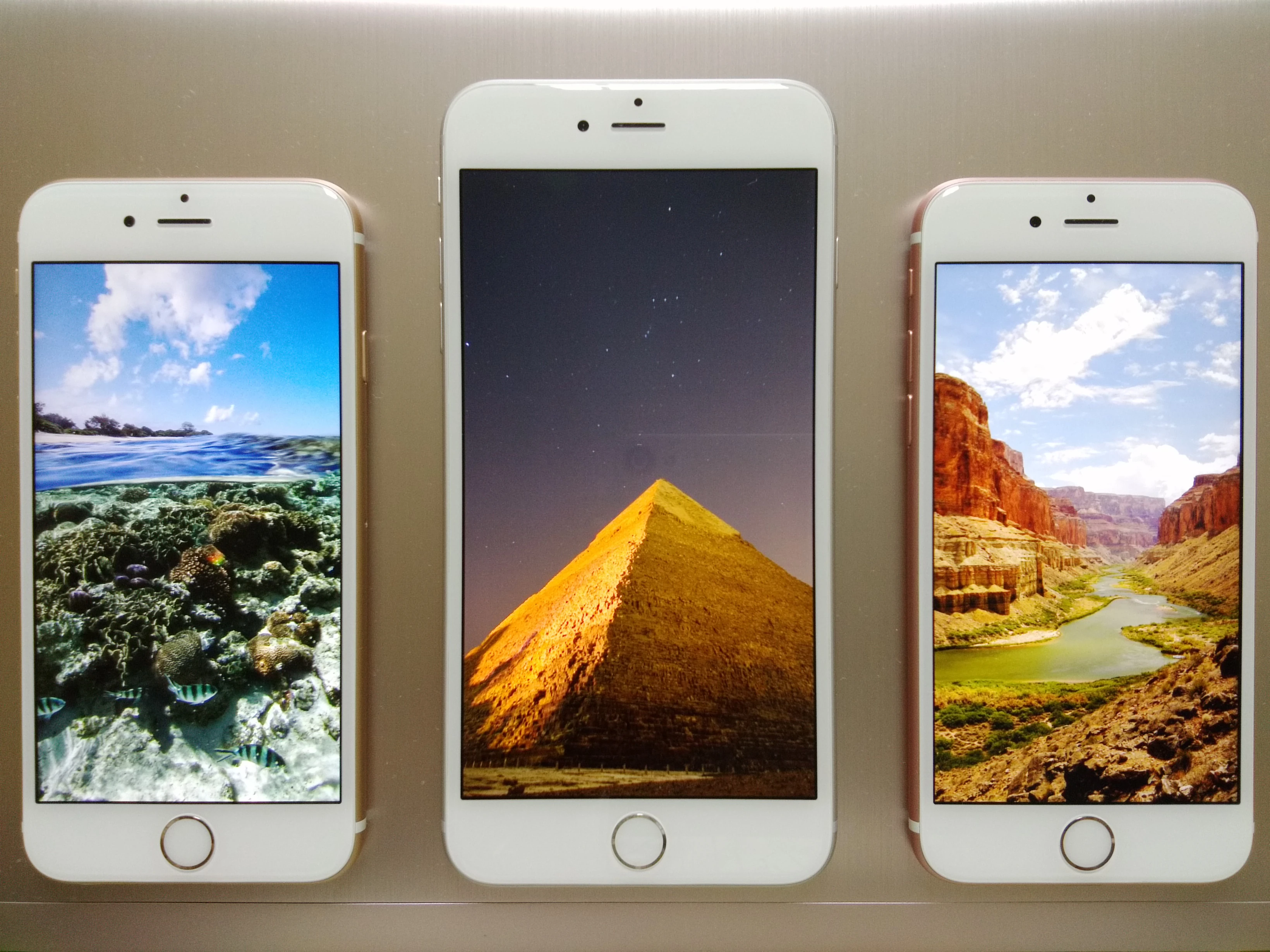Iphone 香港網絡大典 Fandom Iphone 香港網絡大典 Fandom