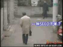Seed2 (1).gif (3.62 MB) Seed2 (1)