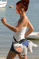 Dog1.png (233 KB) Dog1