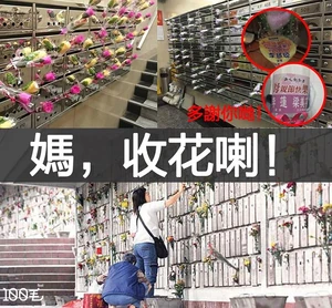 11201629 688669377927379 7049137874696876814 n.jpg (123 KB) 100毛facebook專頁製圖