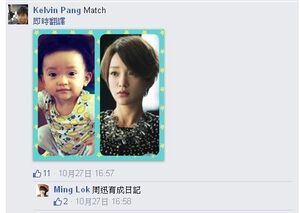 Bobdaumatchchowletter