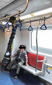 網上流傳一名伯伯攜帶近3米高的長形植物乘坐港鐵