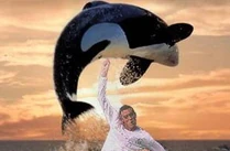 Ctallp36.jpeg (14 KB)